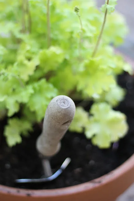 Reducing Plastic Use On Your Flower Farm