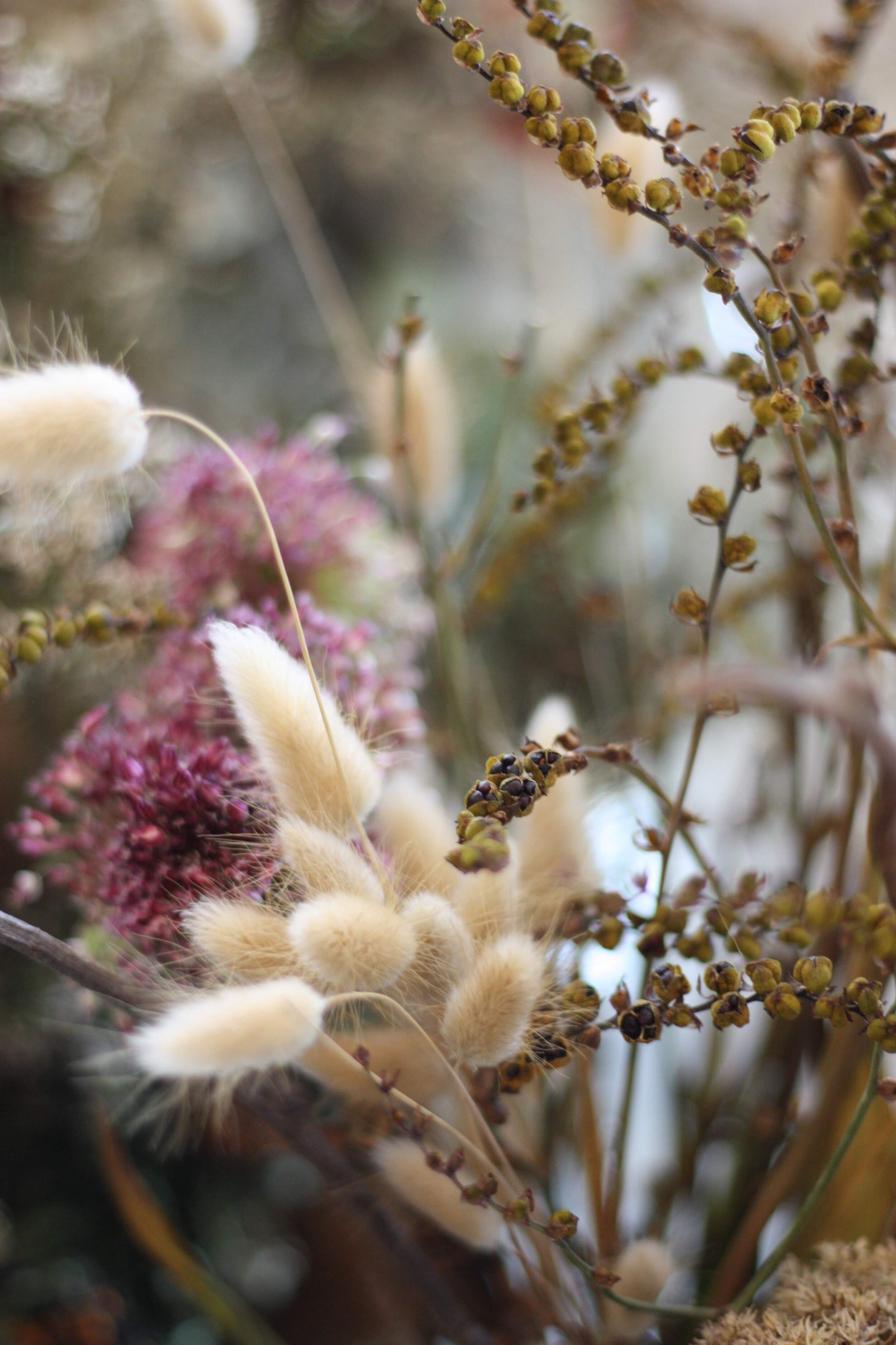 Explaining dried flowers textural and timeless - The Botanist