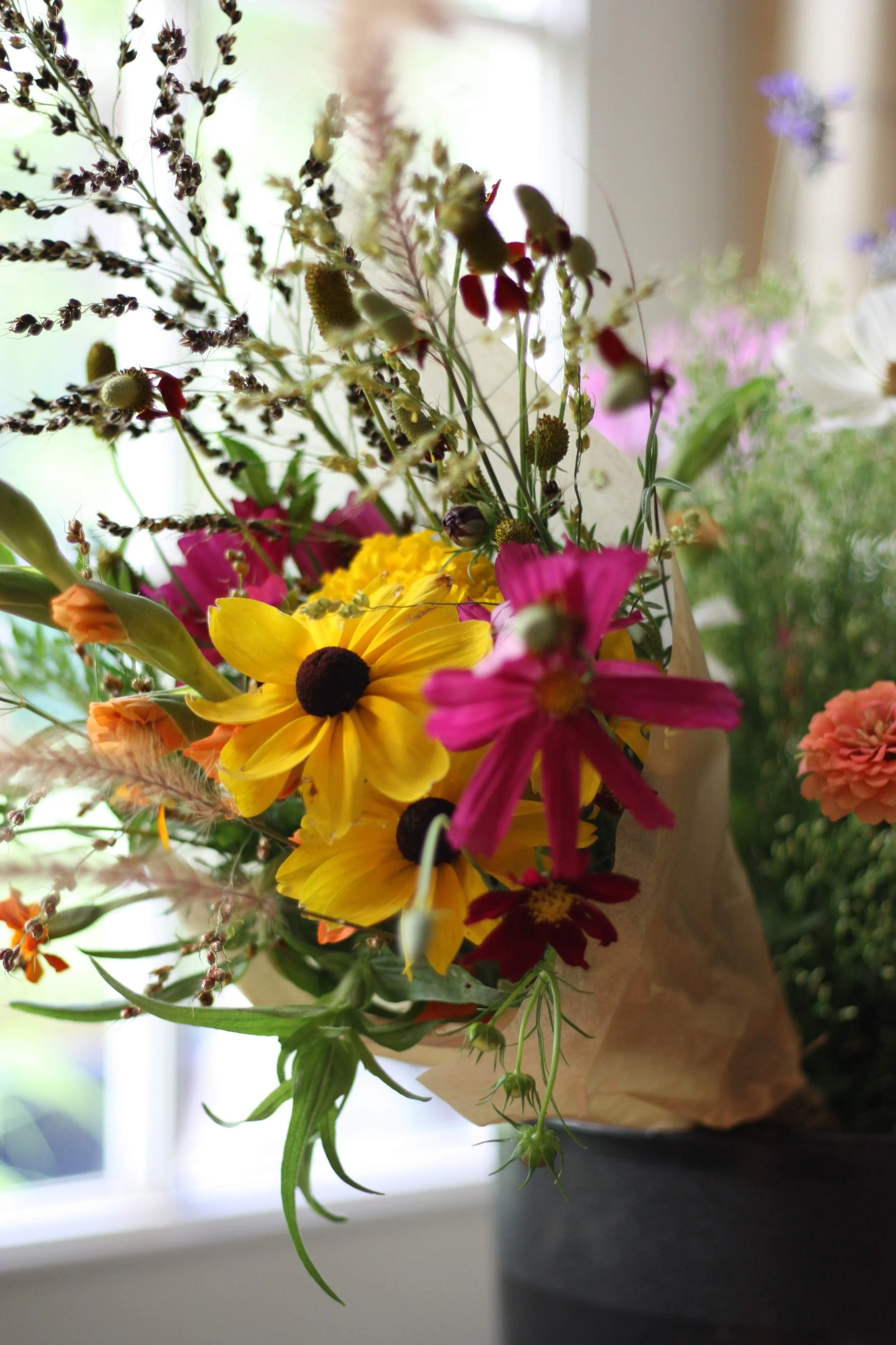 Growing Rudbeckia For Flower Farmers The Kokoro Garden