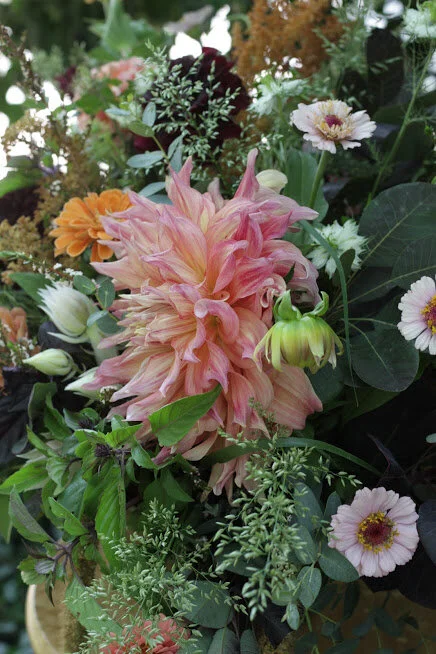 The Connection Between Temperature and Bloom Size