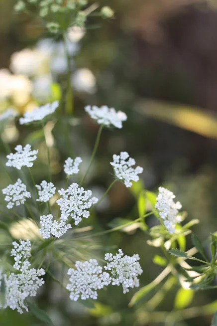 Making Your Flowers Work