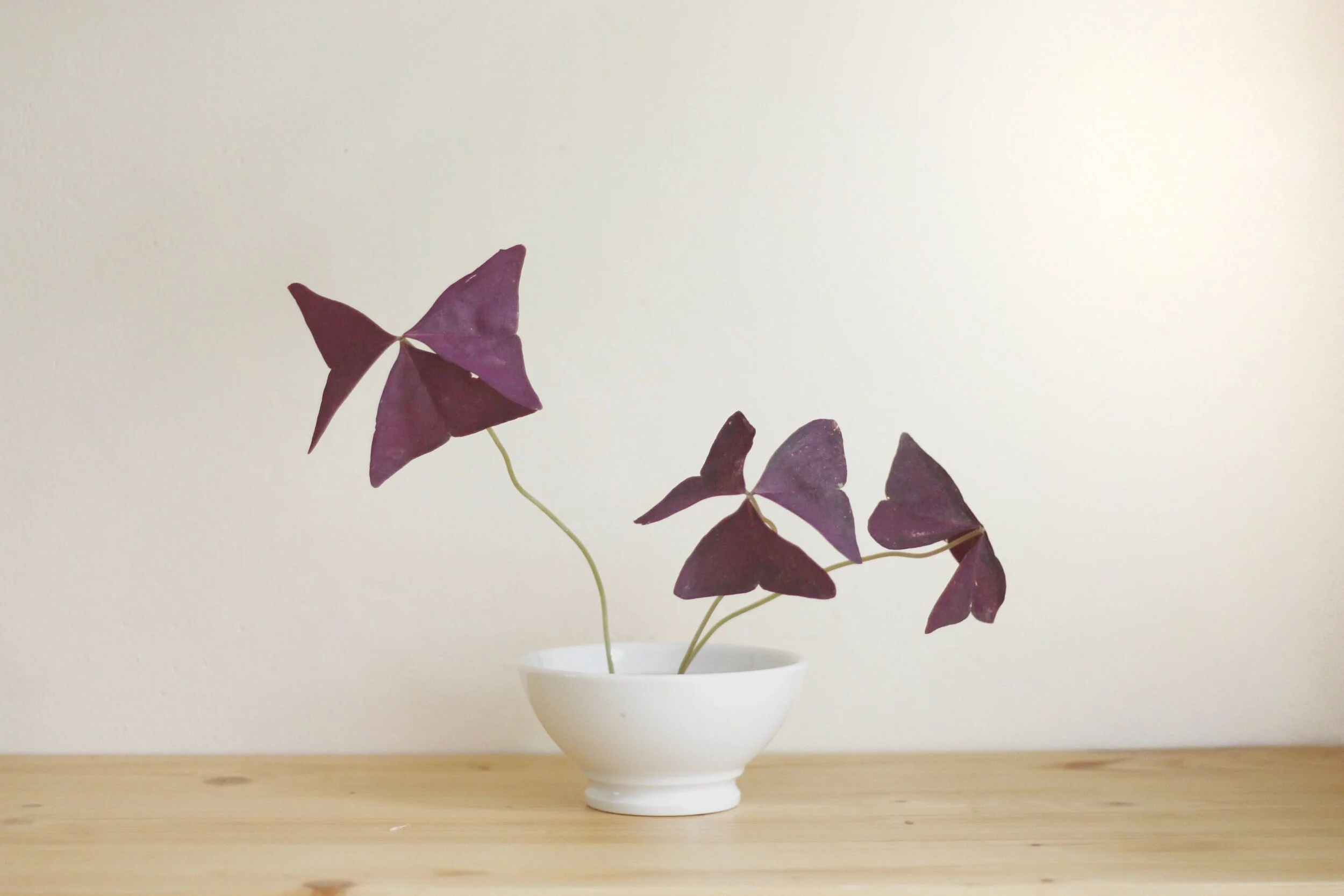 Three More Floral Design Tips