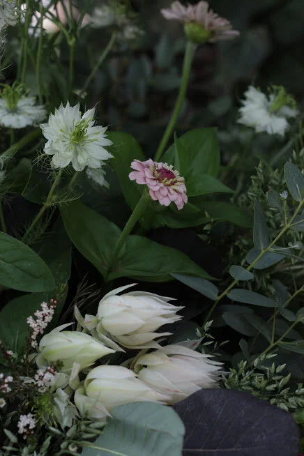 How to Start a Beautiful Cut Flower Garden II: Spring Flowers: Hardy Annuals and Biennials