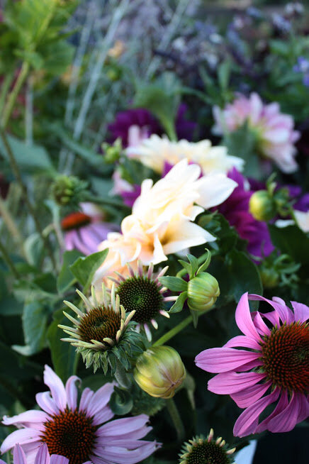 Introducing the 2021 Summer Cutting Garden Lineup!