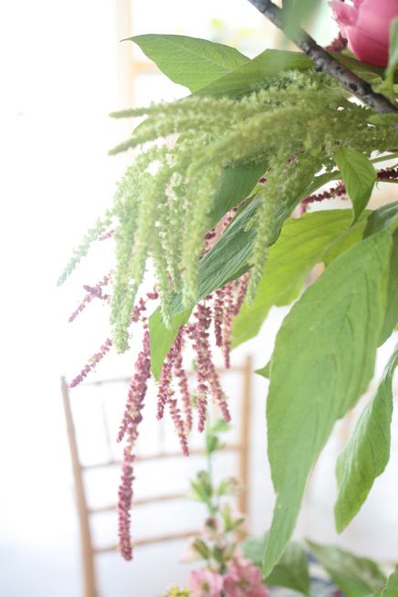 How to Grow Basil for Floral Design — the kokoro garden