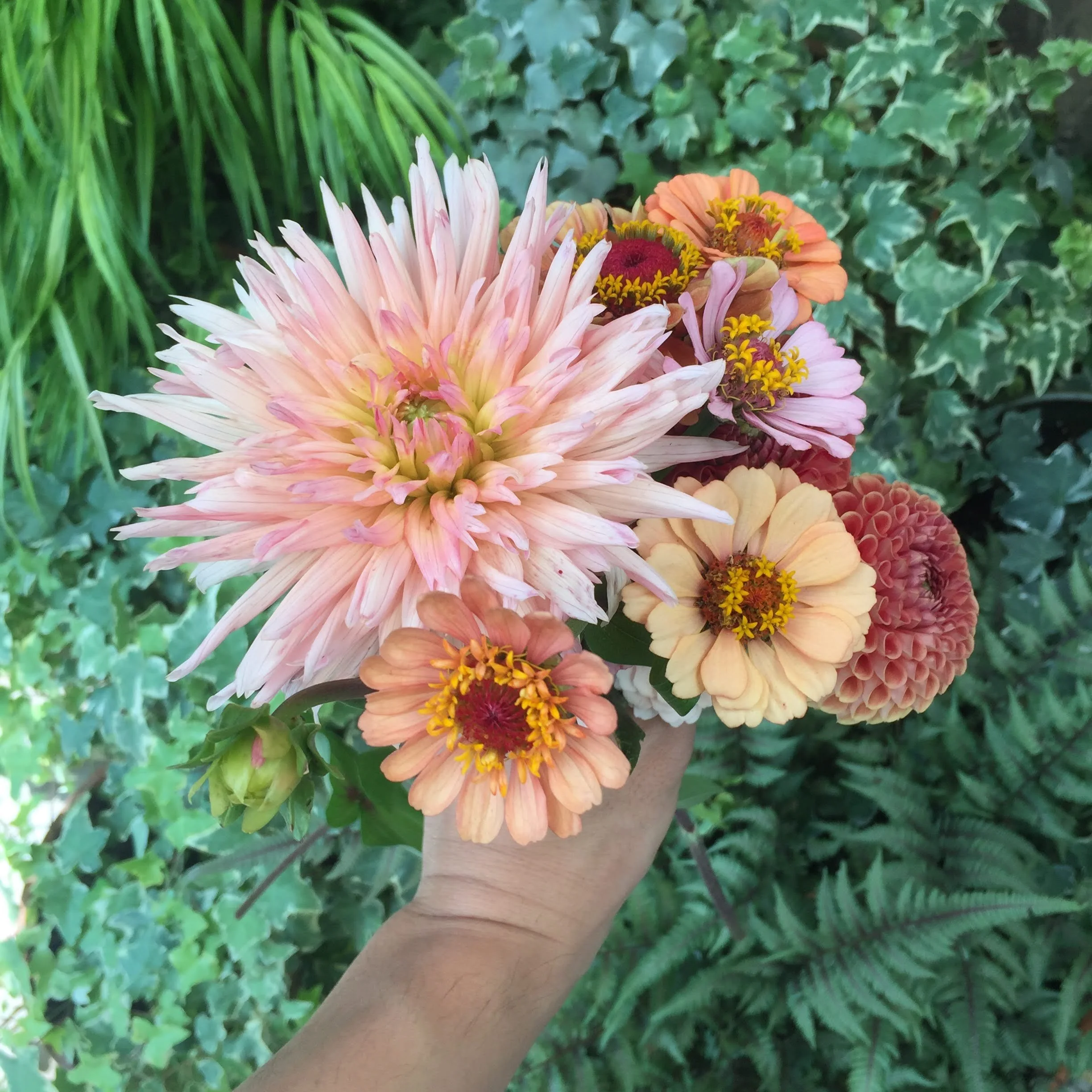 A Letter To Flower Farmers Growing in Small Spaces