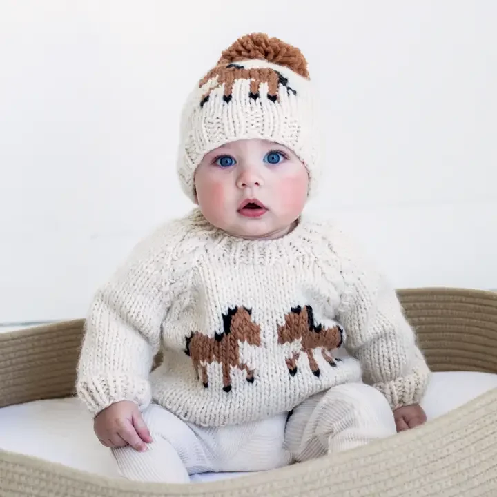 baby horse sweater 2.webp