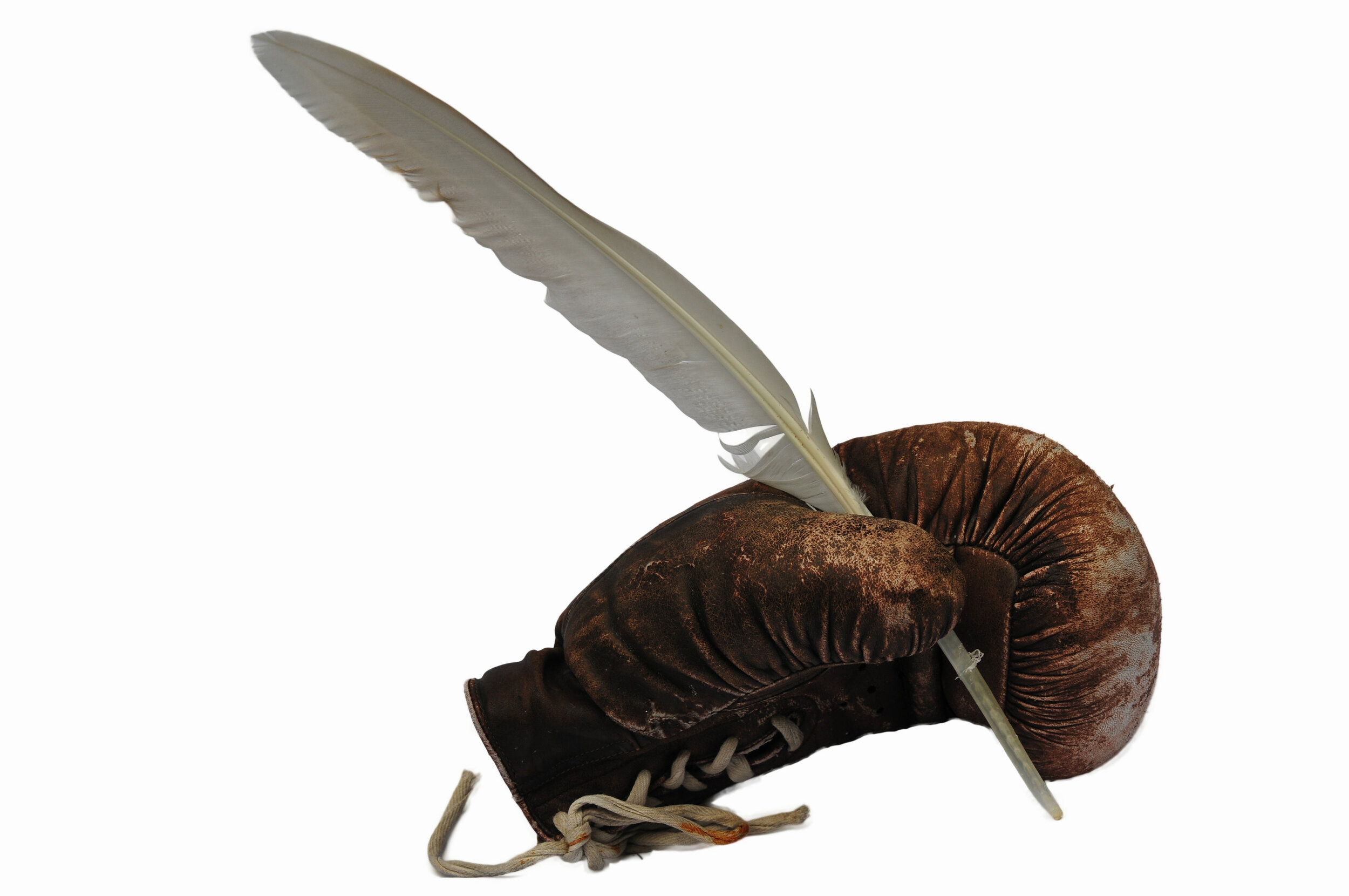 A Plot Without Conflict?