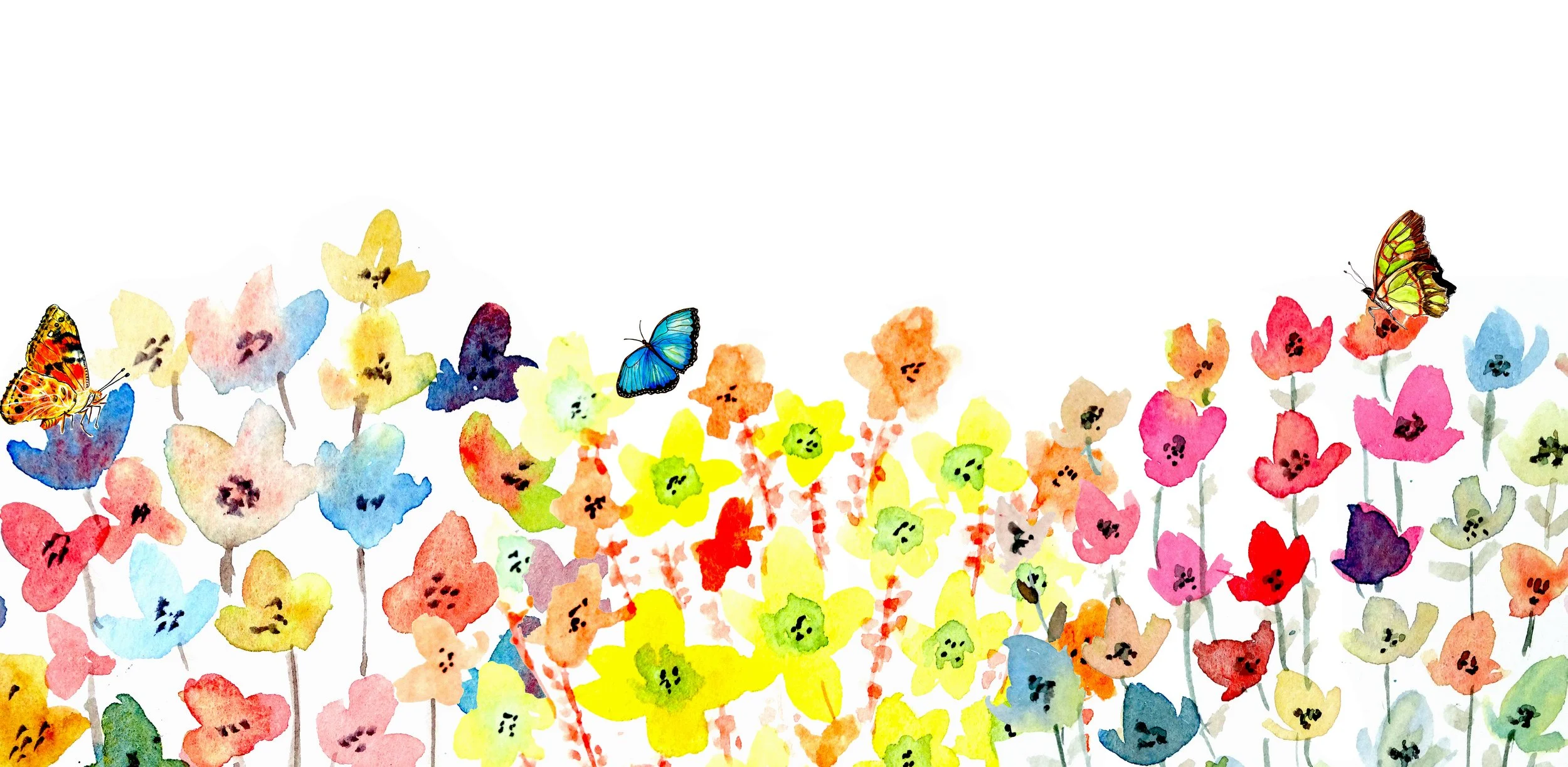 EACH - Behind The Story