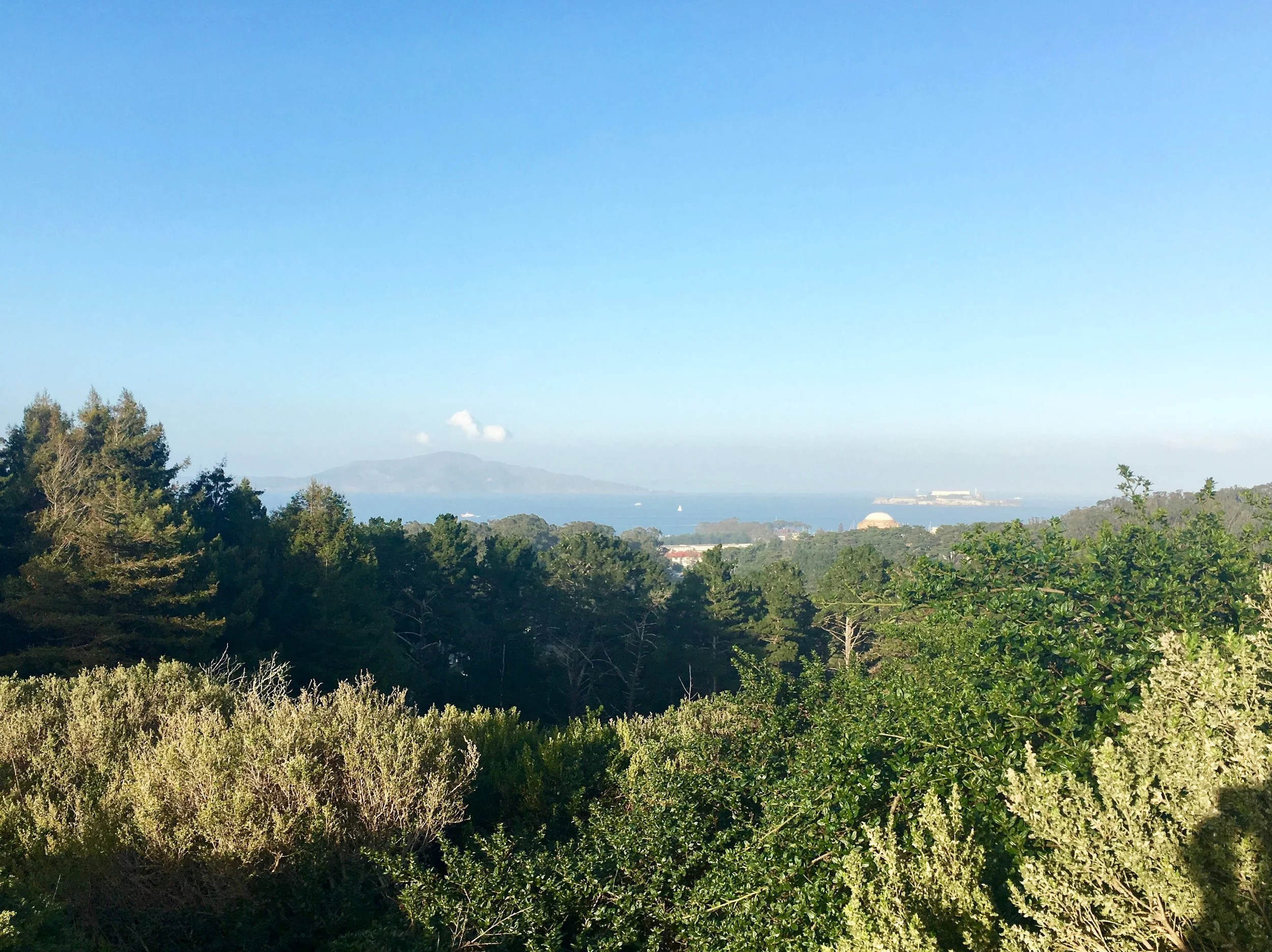 Finding Clarity Through Yoga