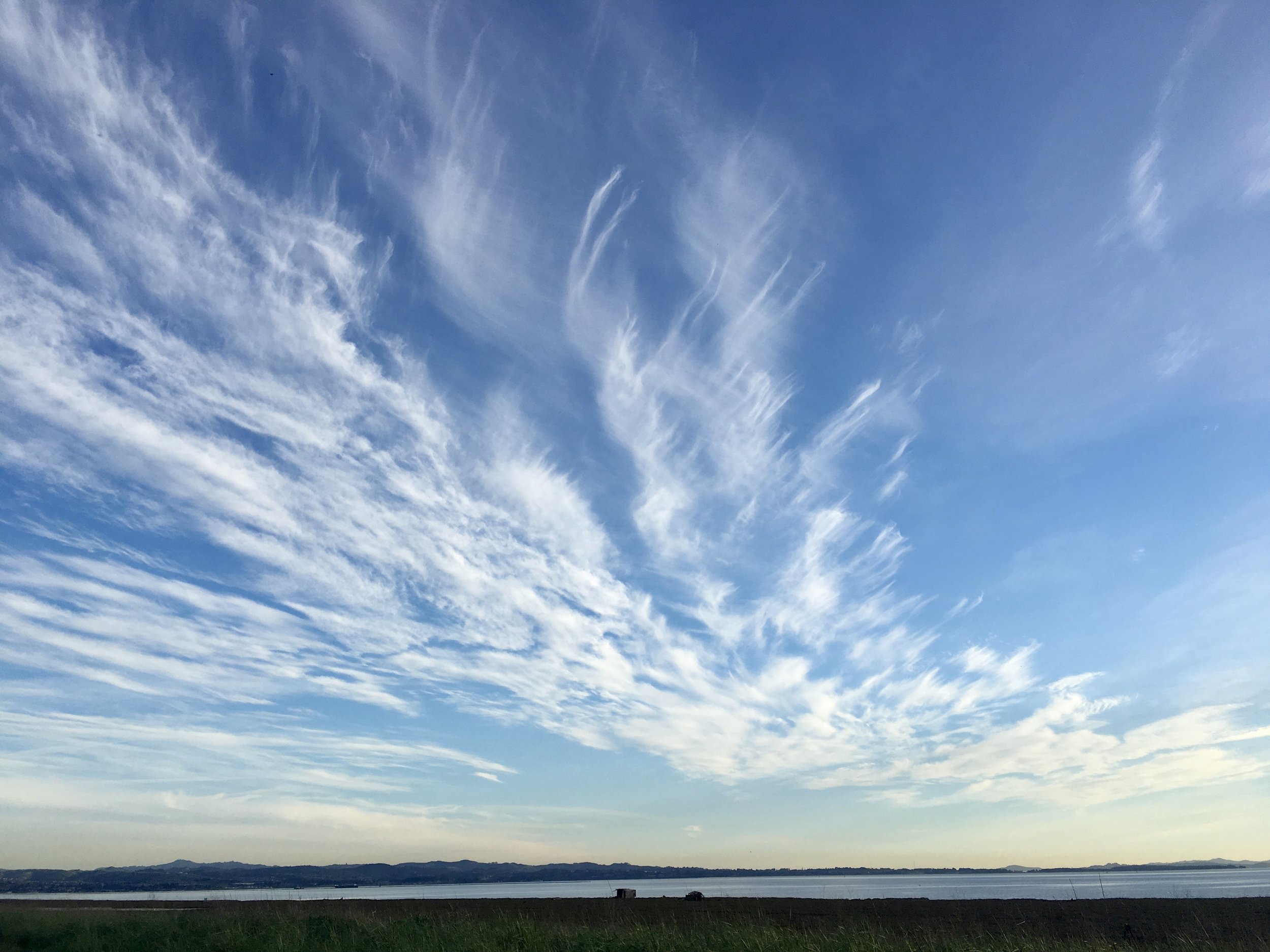 The Importance of Restorative Yoga 