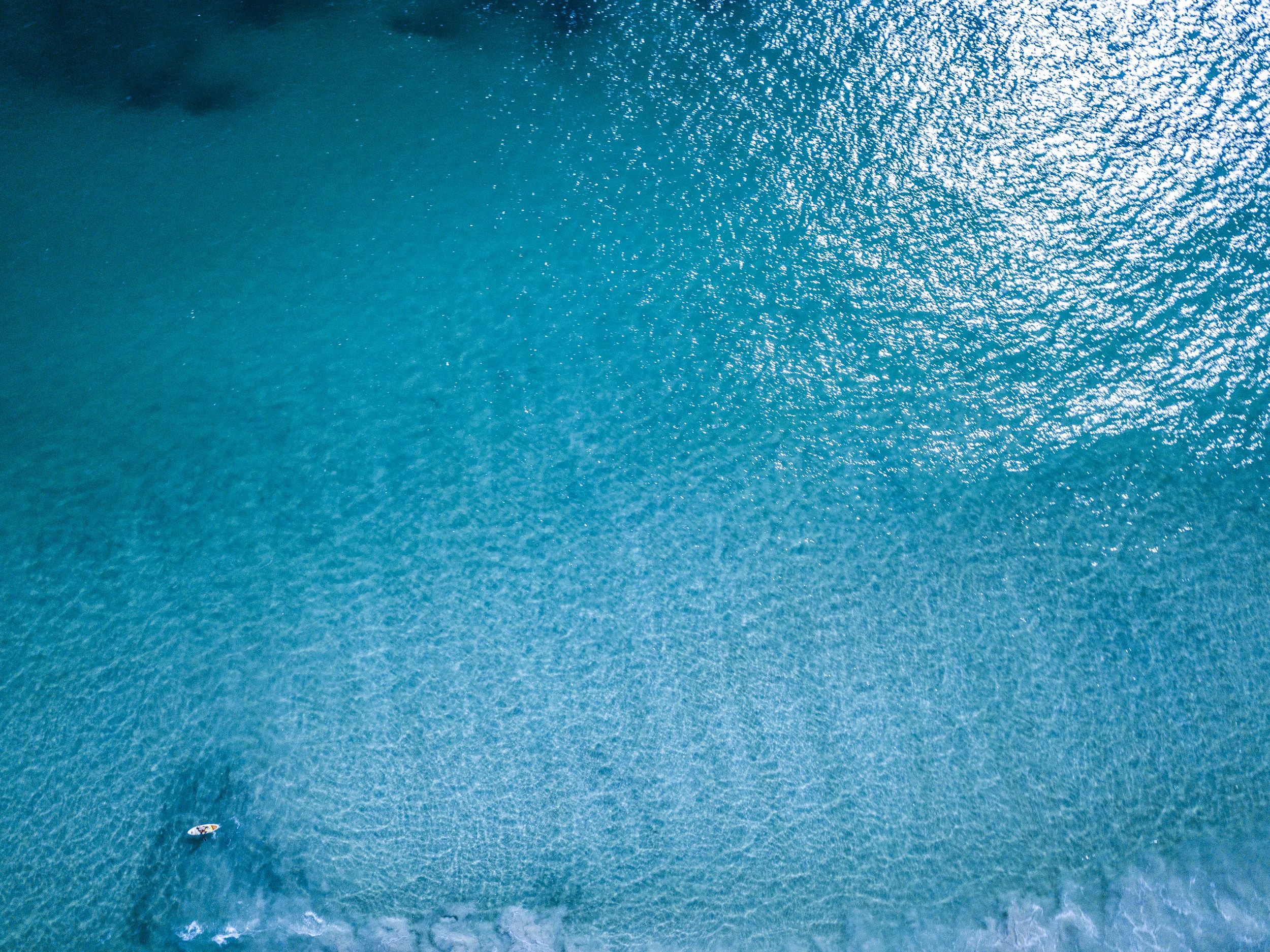 Launch of Vidya Healing Arts