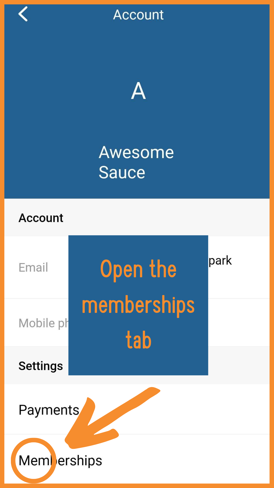 Open Memberships Tab.png
