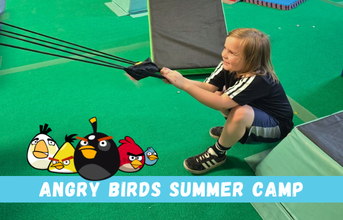 Angry Birds Summer Camp