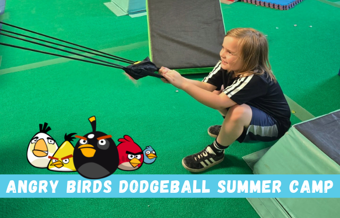 Angry Birds Dodgeball Summer Camp
