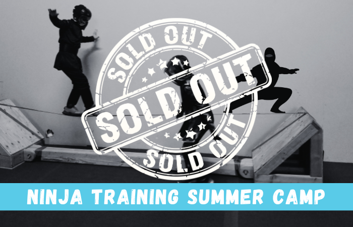 Ninja Training Summer Camp - SOLD OUT