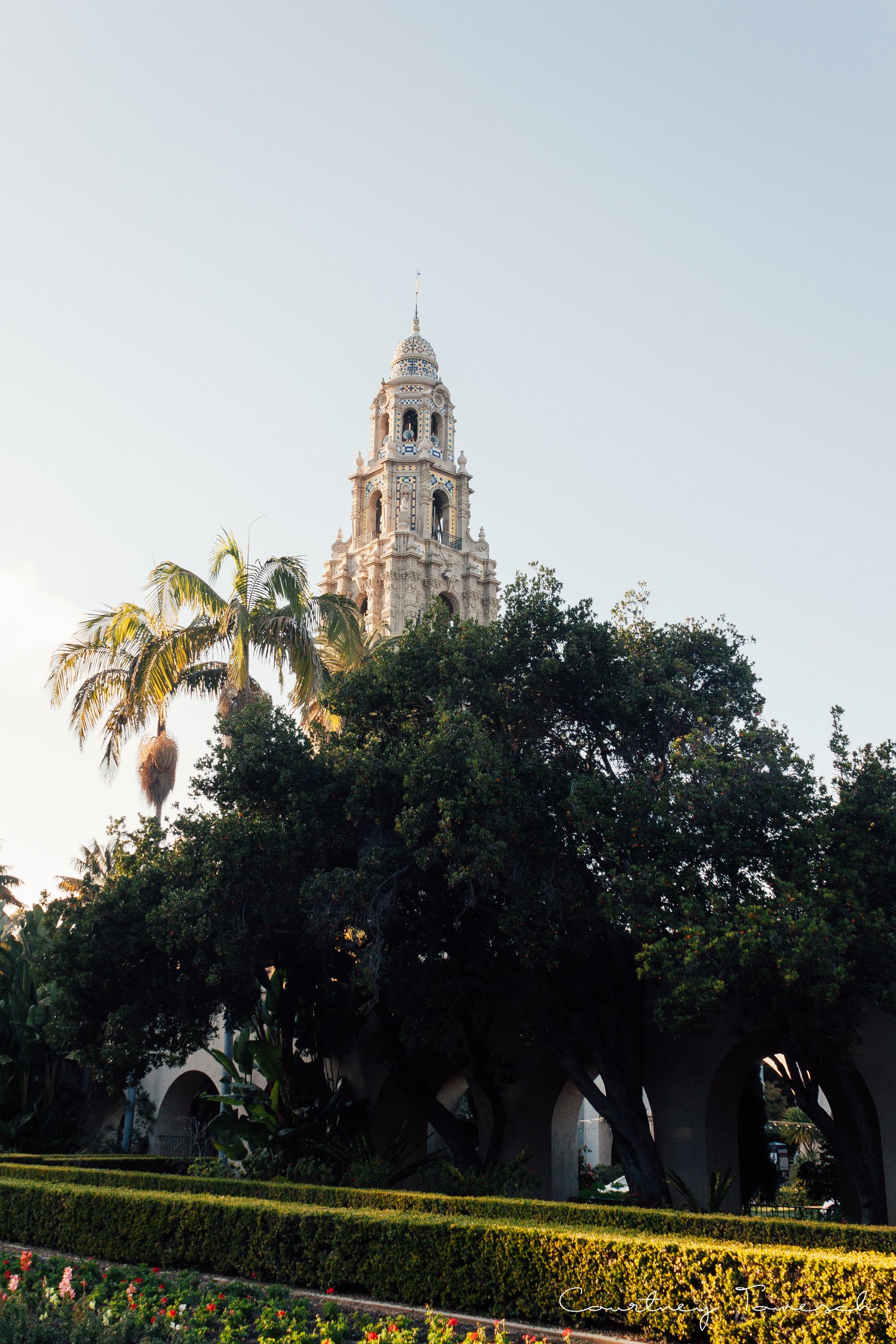 Buy Print: Balboa Park 121, 2012