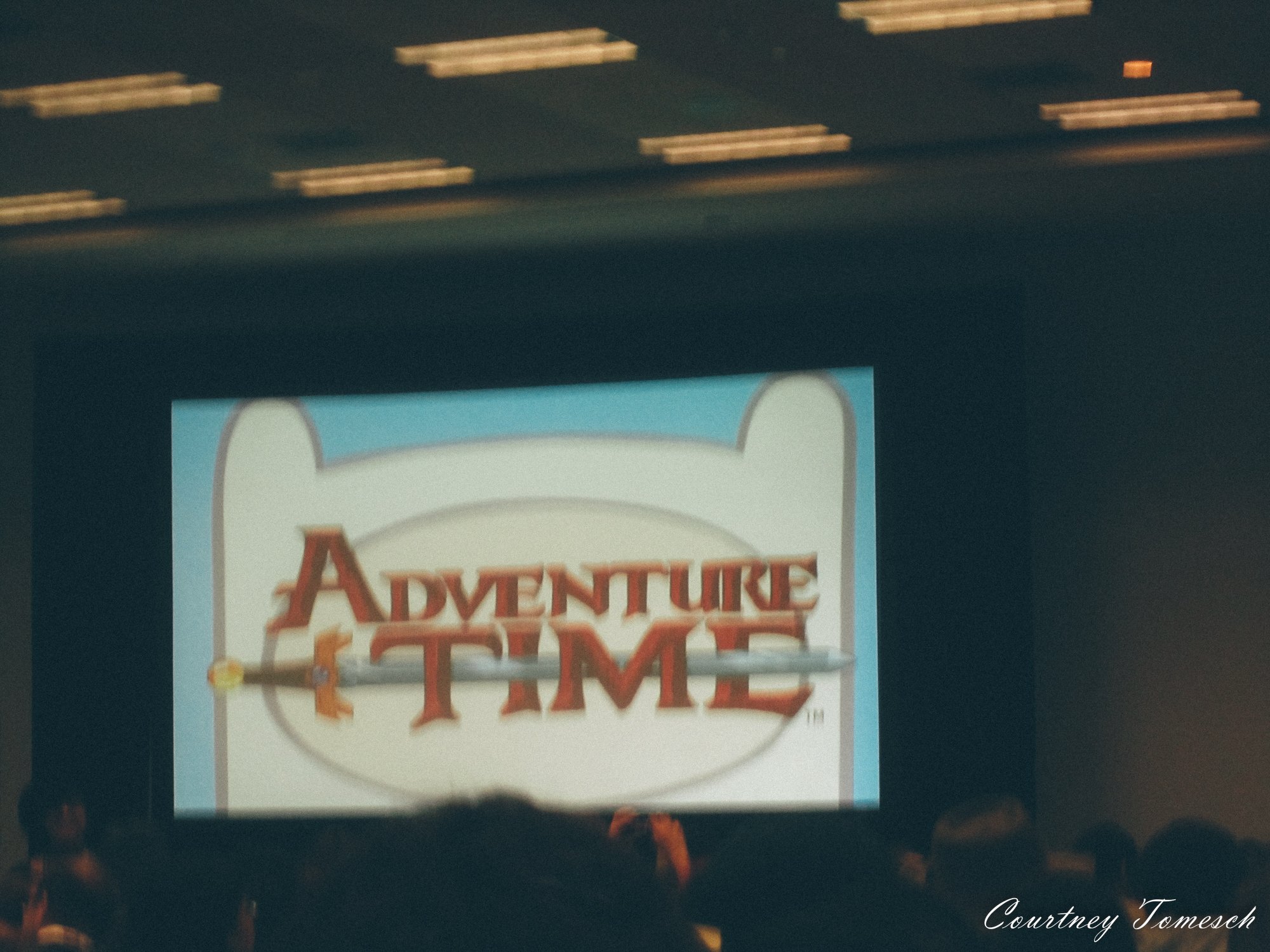  Adventure Time Panel
