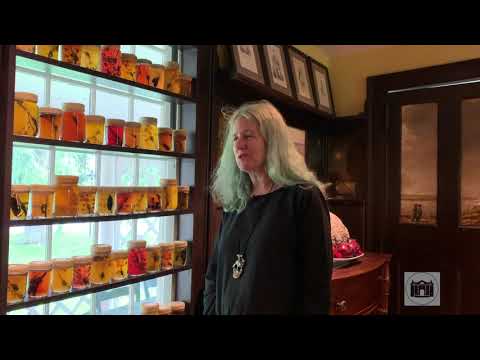 Fragile Earth Artist Jennifer Angus with Insect Jelly