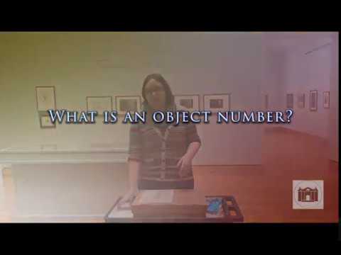 What Is An Object Number?