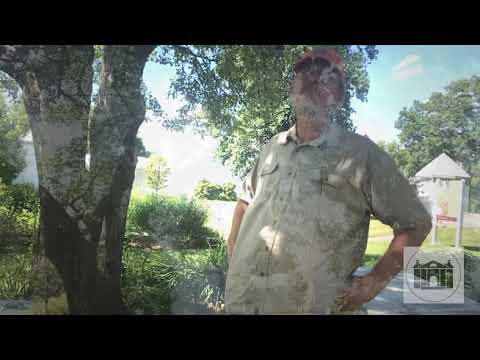 Ted's Tree World at The Florence Griswold - Episode 1