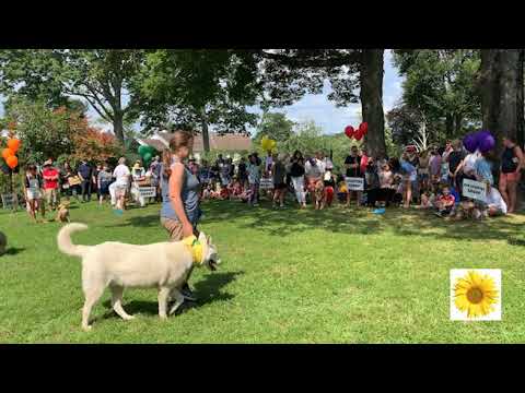 Parading Paws Dog Show 2019
