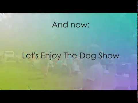 Vista Life Innovations Presents - Parading Paws Dog Show