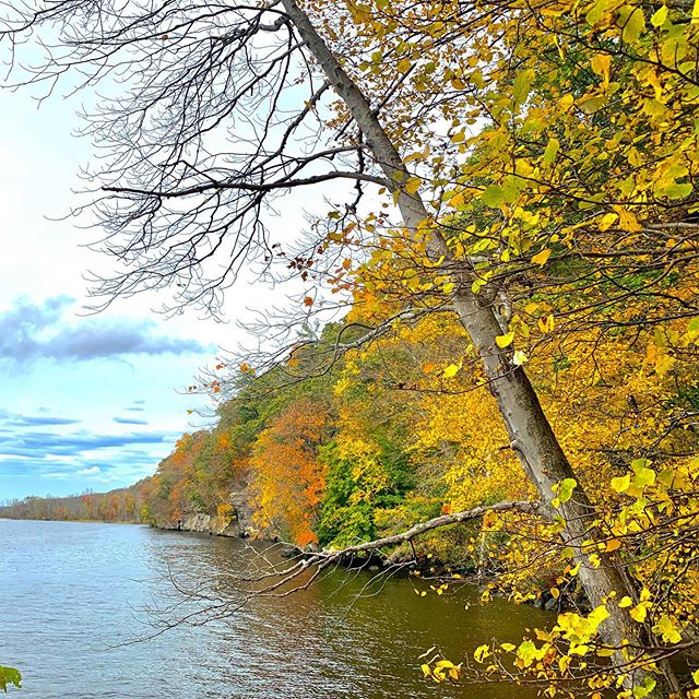#ctfoliage #gilletecastlestatepark #sundayfunday