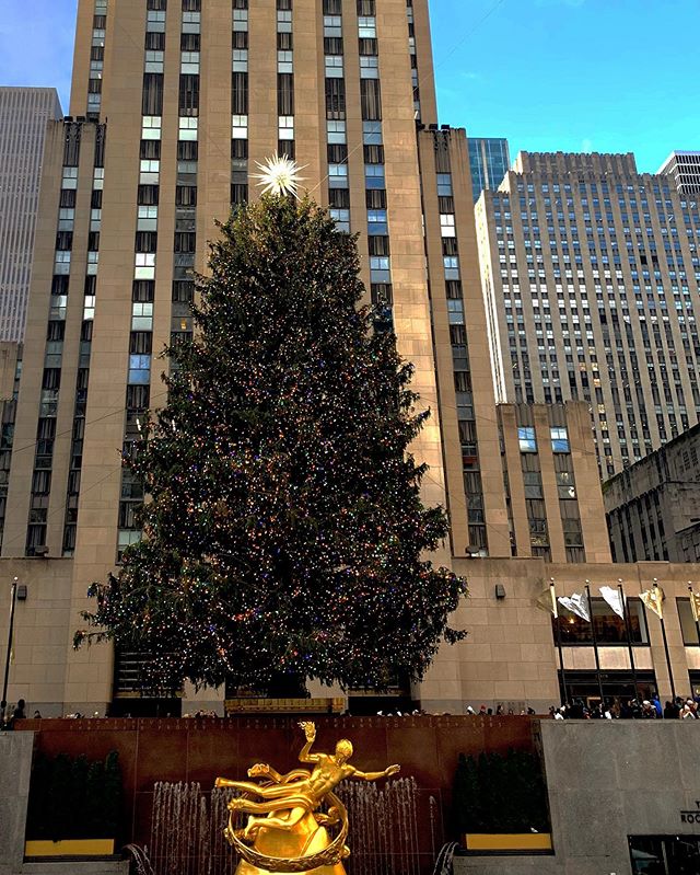 #nyc #rockefellercentertree