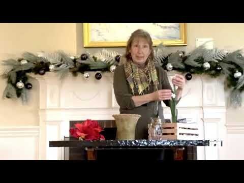 Florence Griswold Museum Garden Tips episode 13