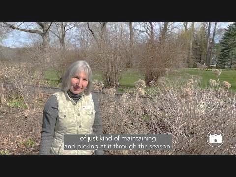Gardening Tips From the Florence Griswold Museum Ep 18