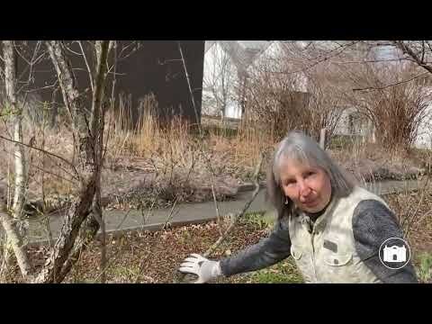 Gardening Tips Fom the Florence Griswold Museum Ep 19