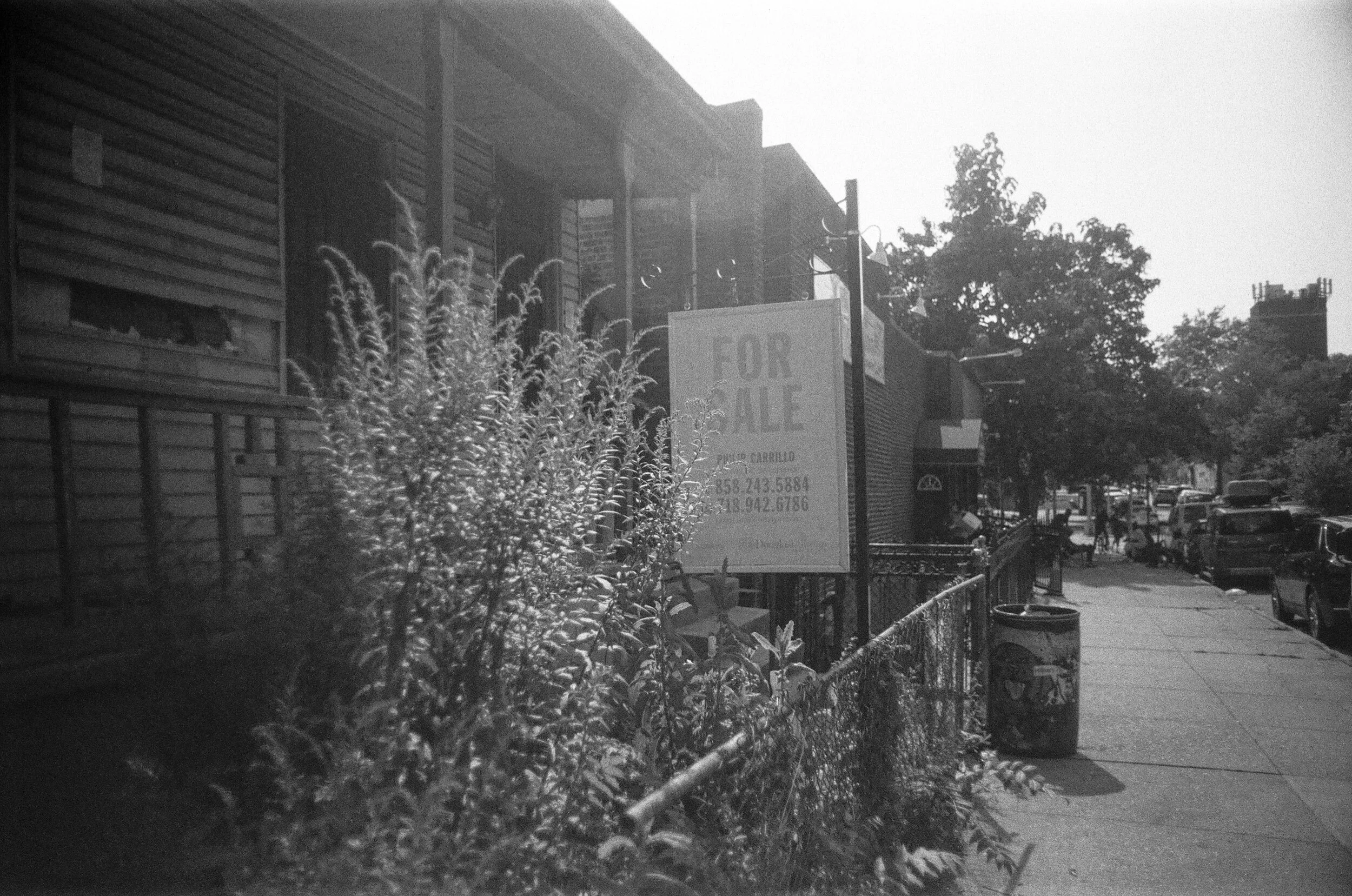  weeksville, crown heights, 2021 