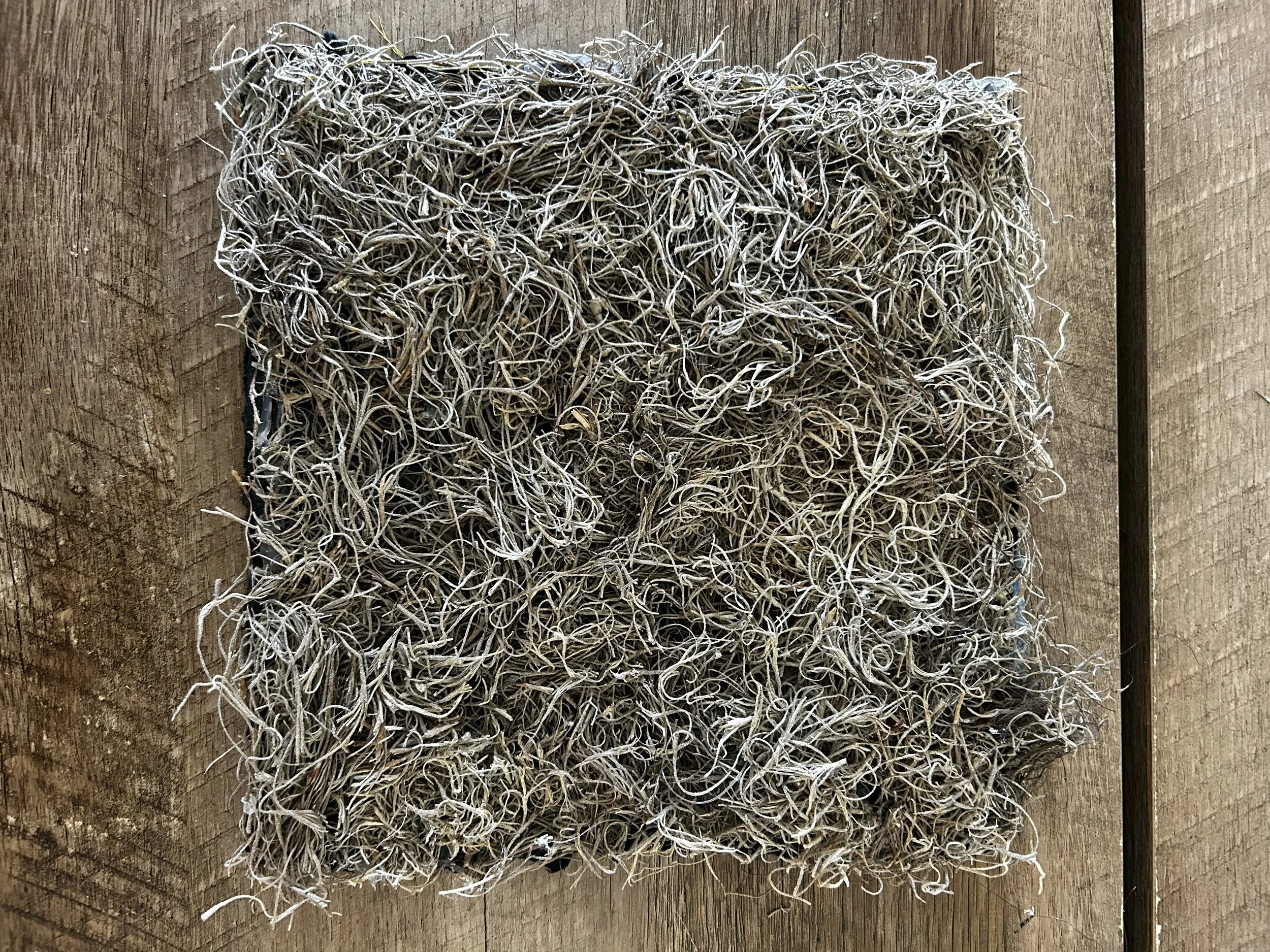moss_bookform_.jpg
