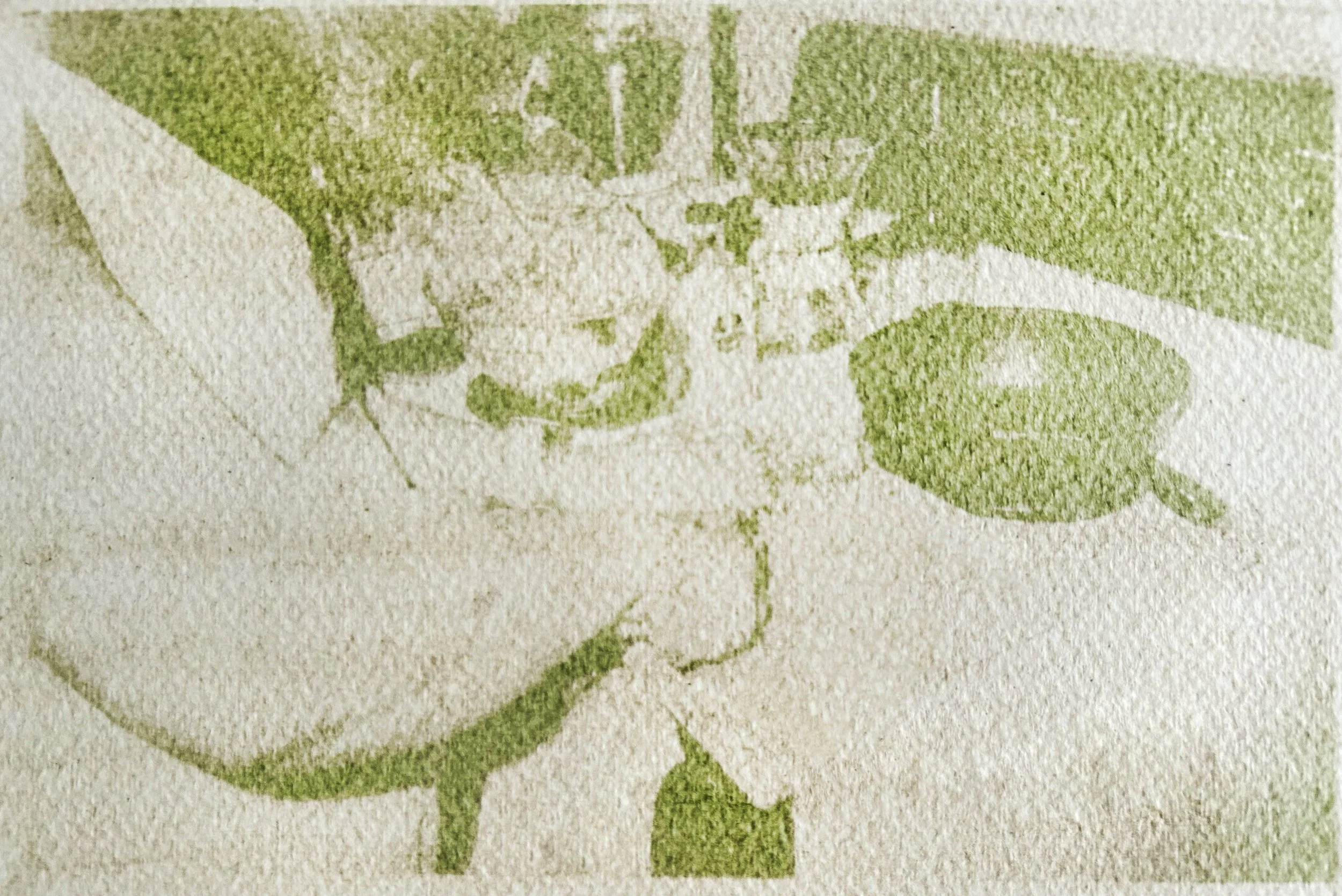 Mom's cooking collard greens