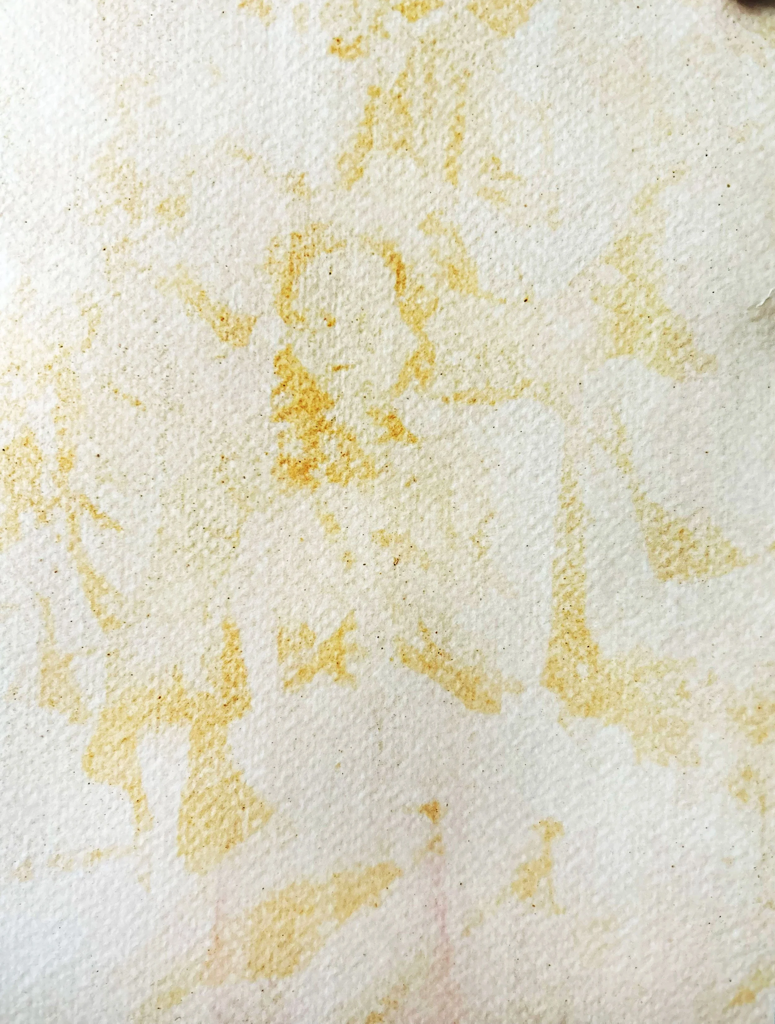 great great aunt Frances n'em in Lawry's 