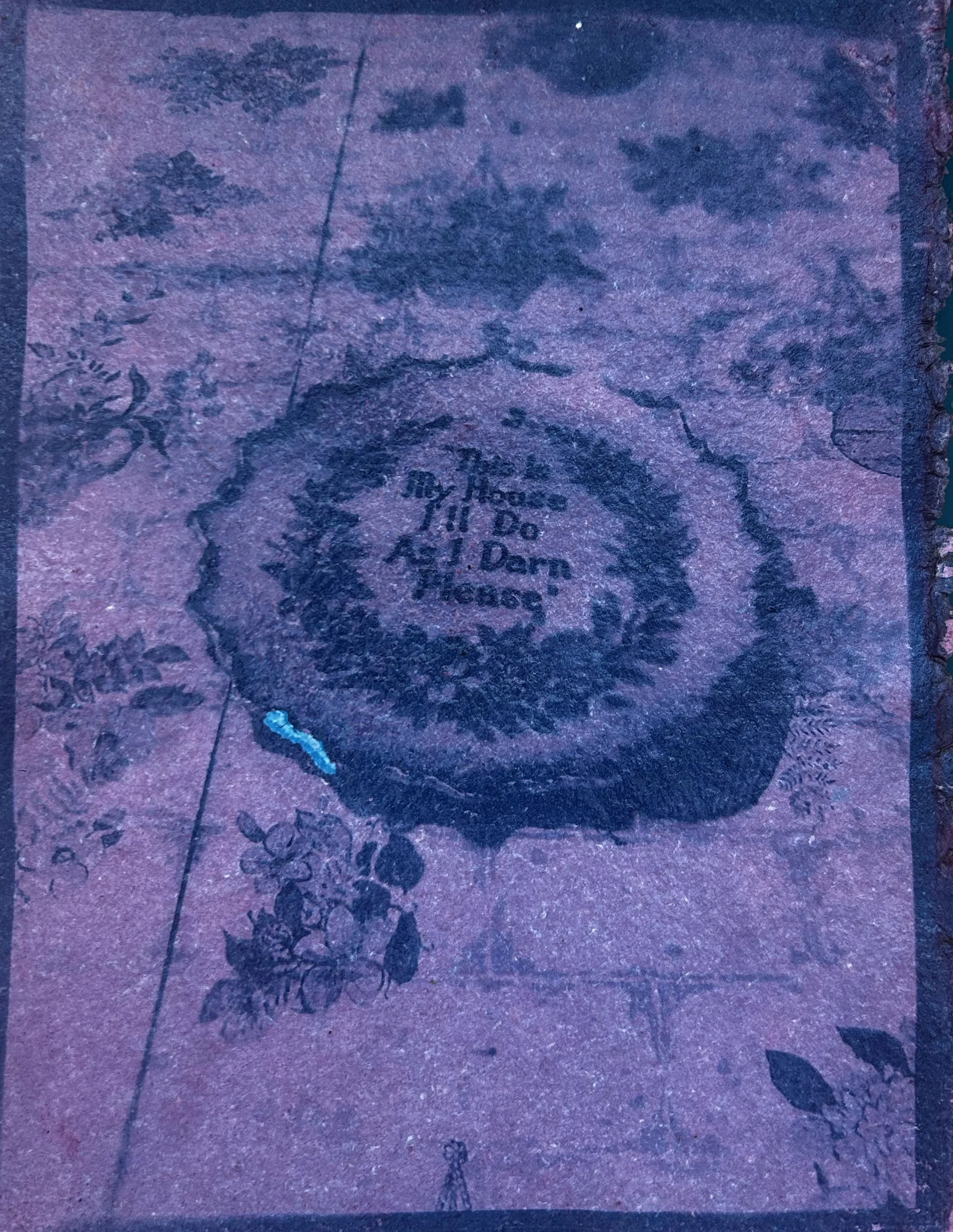 This is my house, I'll do as I darn please