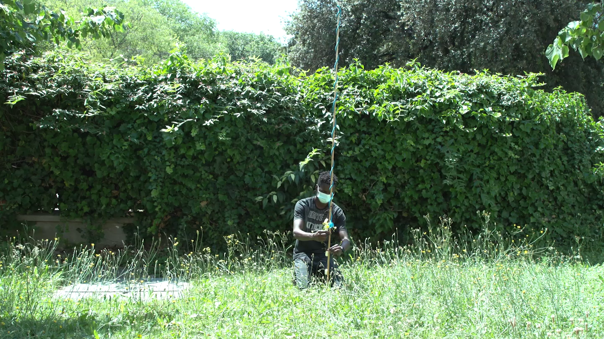 vlcsnap-2022-04-06-11h09m54s516.png