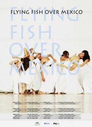 FlyingFishOverMexico_posterdraft_PV.jpg