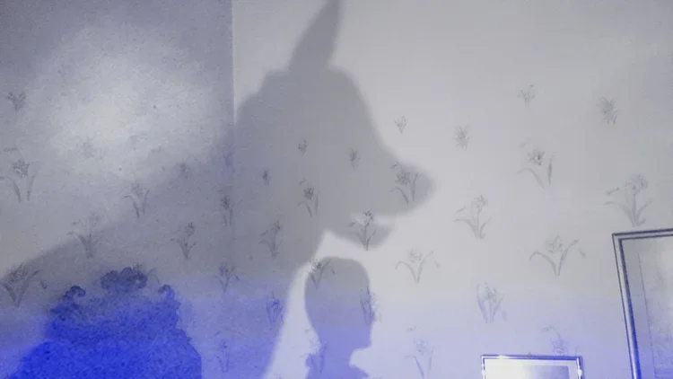Wolf_PV_13.webp