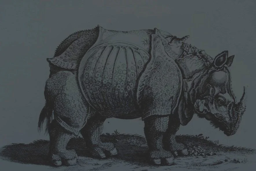 Rinoceros_LaGaceta.jpg