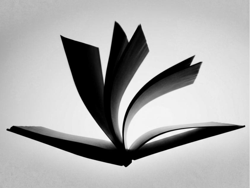 ElLibrodeB_Abstract_02.png