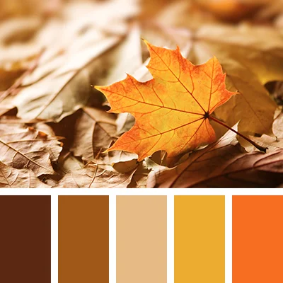 Interiors inspired by Autumn