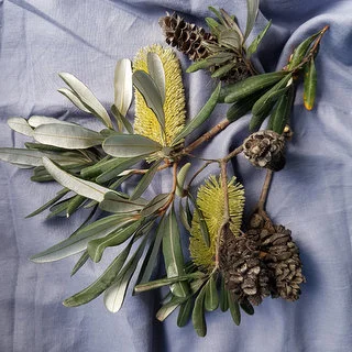 GG.Banksia.CC1Web.jpg