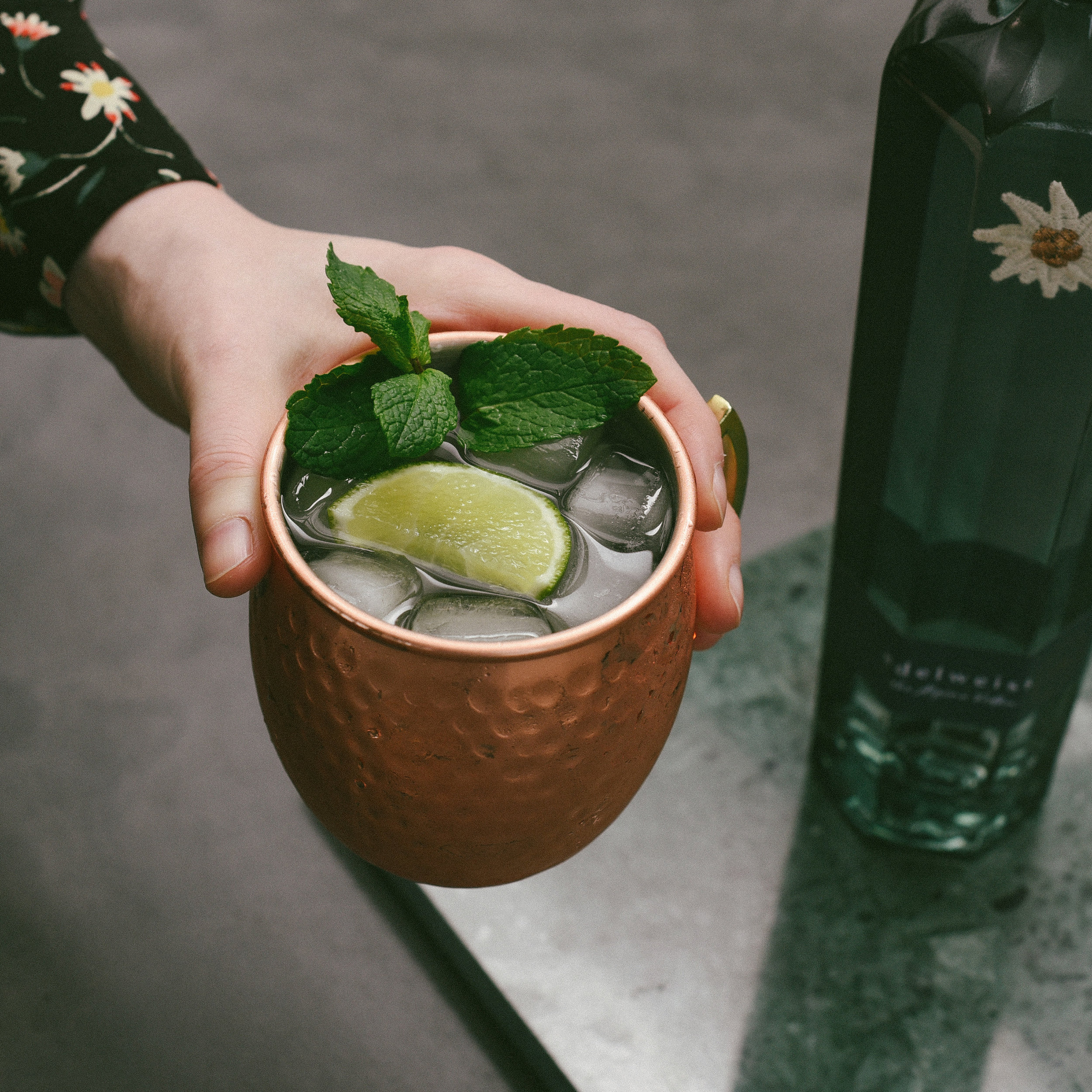 the Alpine Mule