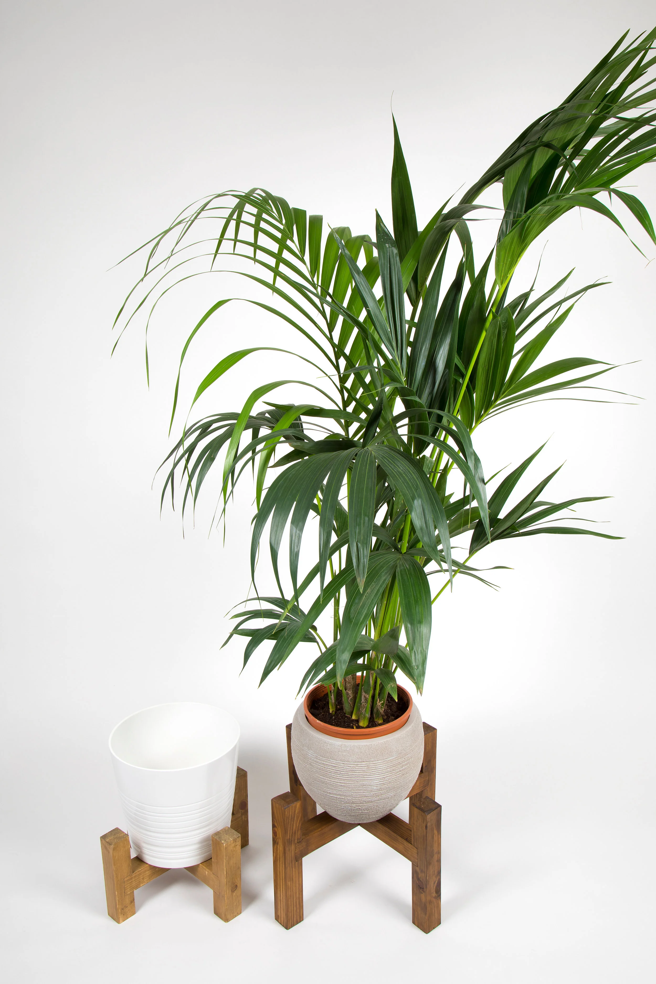 Planters and plant displays