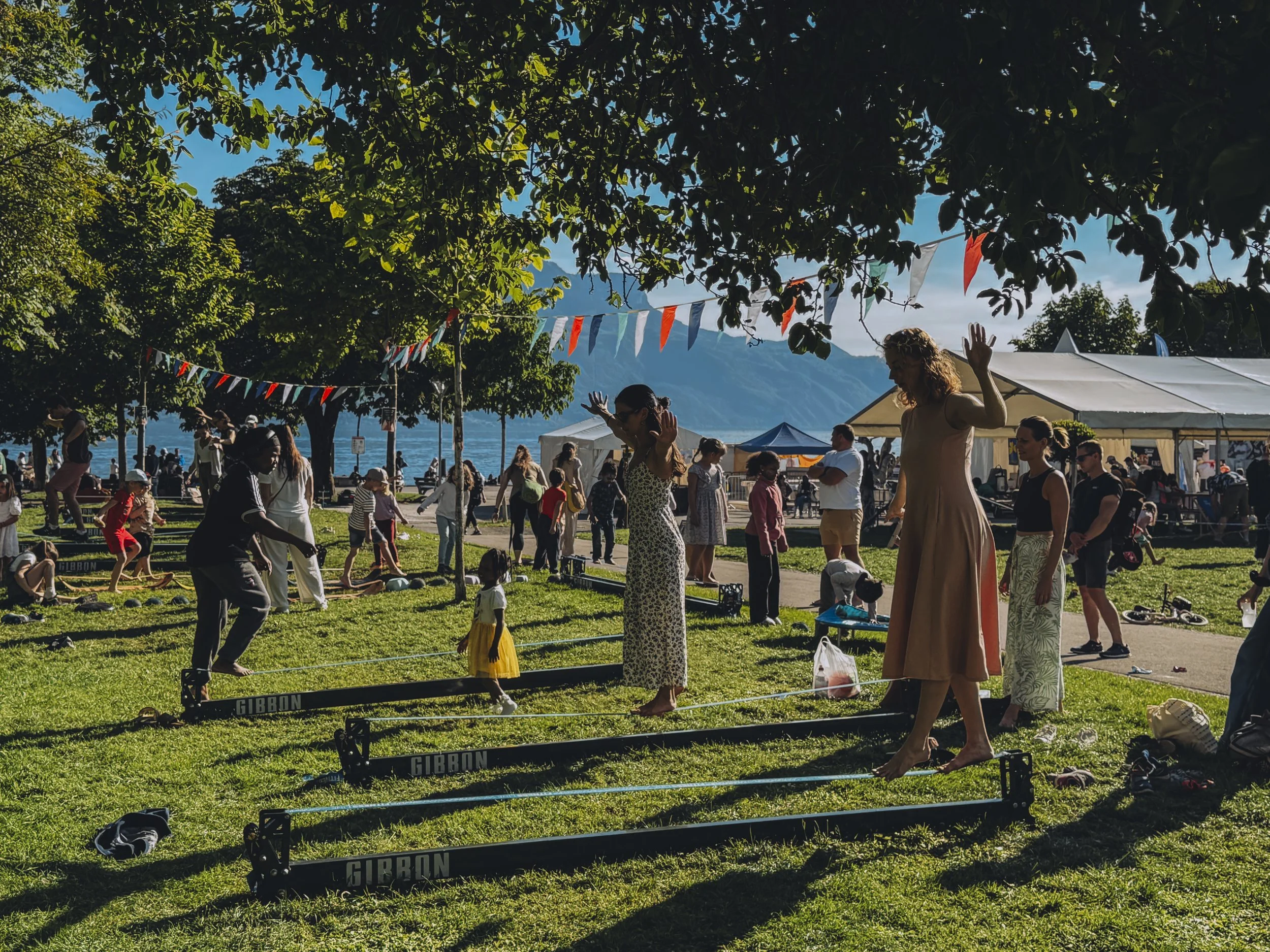 Étude de cas, Festival Animai 2025, Vevey