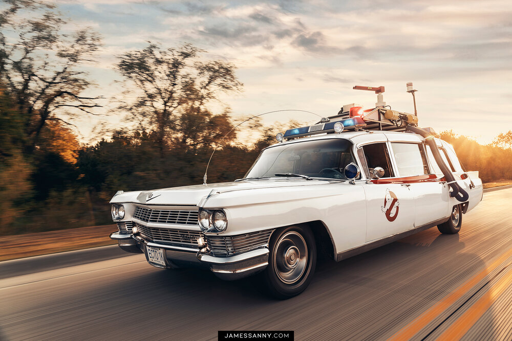 Ecto-3sm.jpg