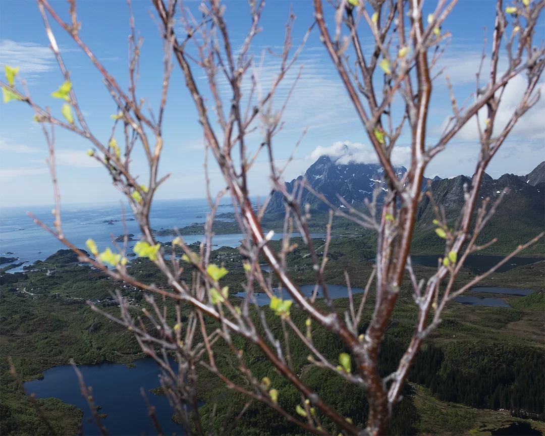 Lofoten_Januar2018_42_8.jpg