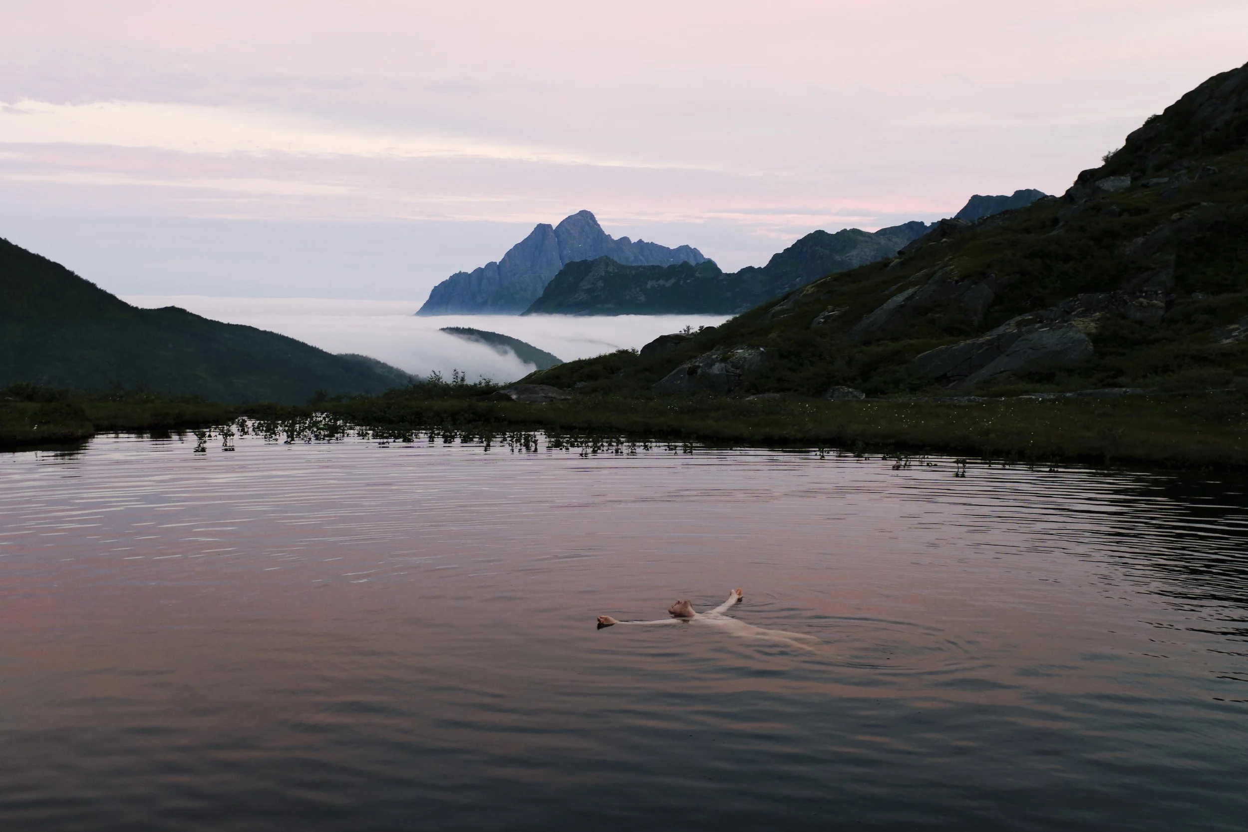 Diverse bilder Lofoten 2016_323_49.jpg